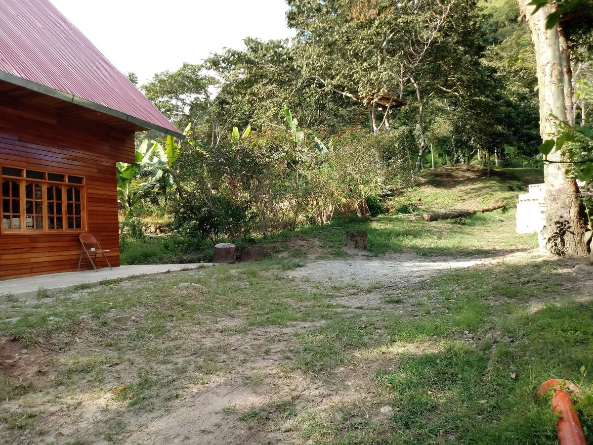 La Cabana De Noa Oxapampa Extérieur photo